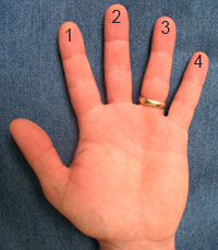 graphic of hand with numbered fingers for first position violin